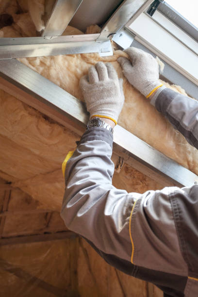 Best Insulation Maintenance and Repair in Cedar Hill, TX