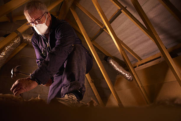 Best Residential Insulation in Cedar Hill, TX